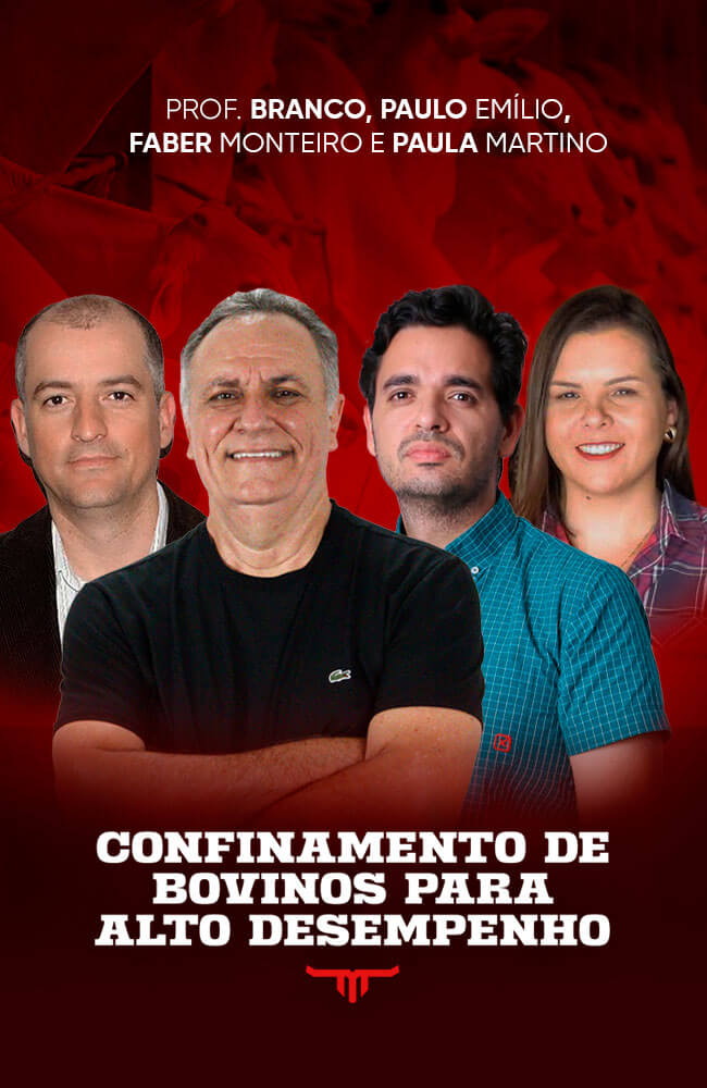 Confinamento de Bovinos - Prof. Branco, Faber Monteiro, Paula Martino e Paulo Prohmann - ENA